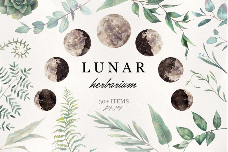 lunar-herbarium