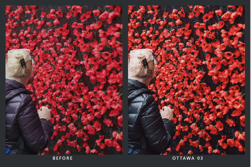 20-remembrance-lr-presets