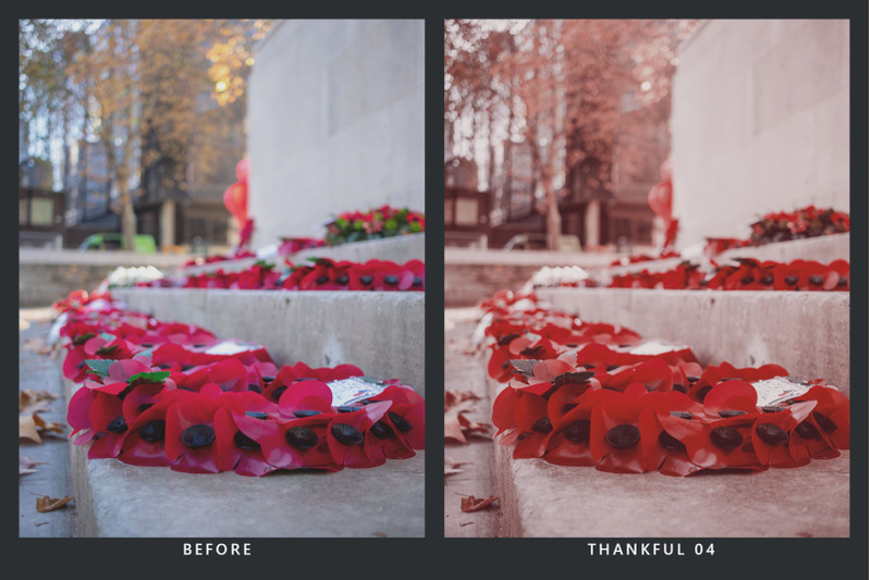 20-remembrance-lr-presets