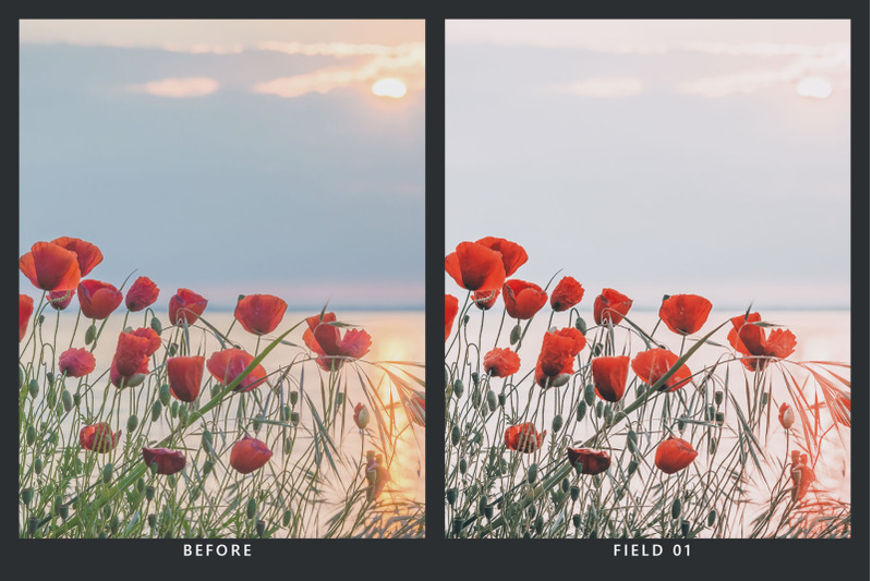 20-remembrance-lr-presets