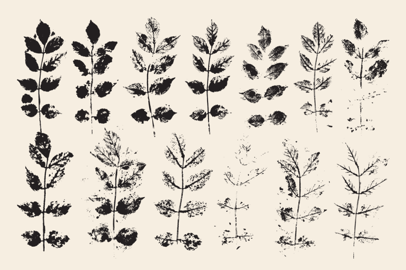 stamped-prints-of-leaves-amp-flowers