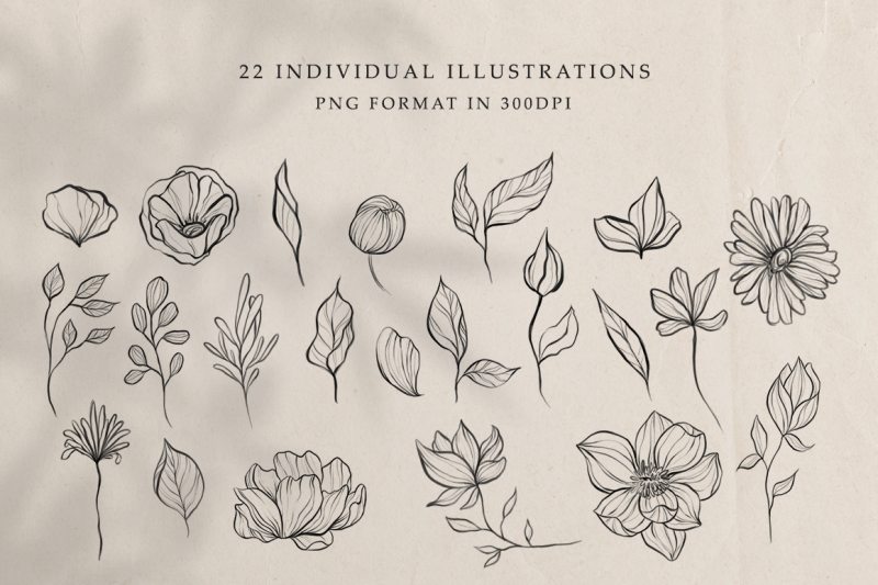 botanical-sketches-hand-drawn-floral-line-art-illustration