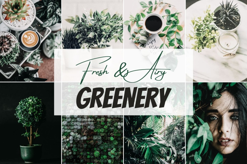 greenery-mobile-lightroom-presets-blogger-presets