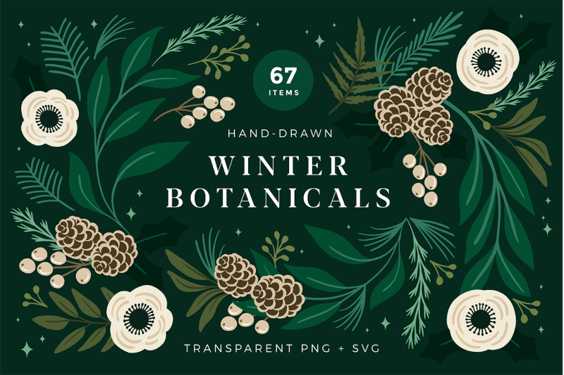 christmas-botanical-illustrations
