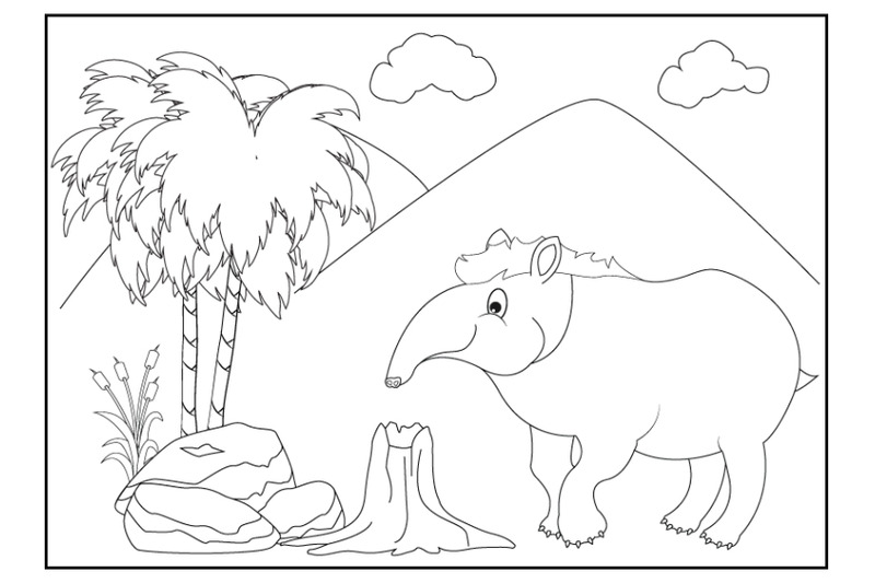 coloring-tapir-animal-cartoon-for-kids