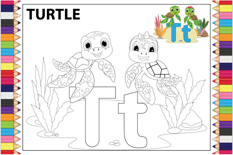 coloring-turtle-animal-cartoon-for-kids