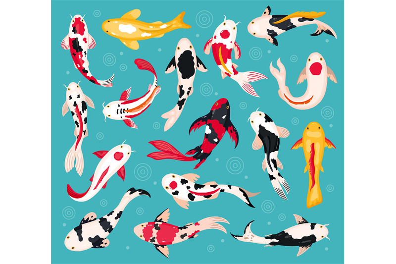 japanese-koi-carps-oriental-koi-fish-china-asian-fishery-colorful-f