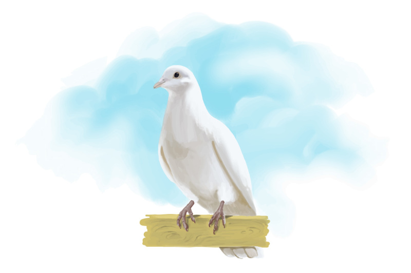 dove-hand-painting-vector