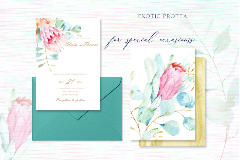 watercolor-pink-floral-protea-with-eucalyptus-clipart-tropical-weddin