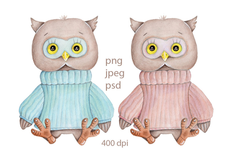 two-cute-owls-in-warm-sweater-watercolor