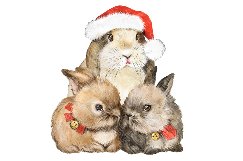 rabbits-watercolor-clipart-fluffy-pets-decorative-rabbit-breeds