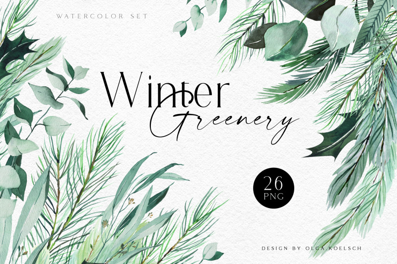watercolor-christmas-greenery-clipart-eucalyptus-and-pine-tree-png