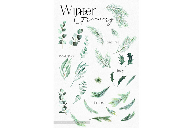 watercolor-christmas-greenery-clipart-eucalyptus-and-pine-tree-png