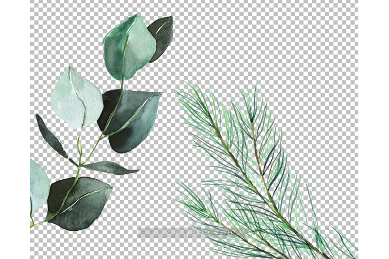 watercolor-greenery-christmas-wreath-clipart-eucalyptus-and-pine-tree
