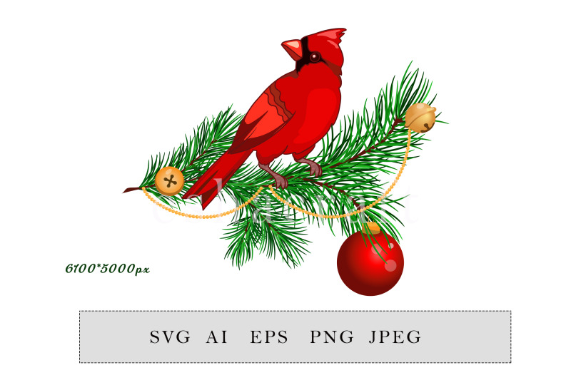 christmas-arrangement-with-cardinal-bird-fir-branches-christmas-ball