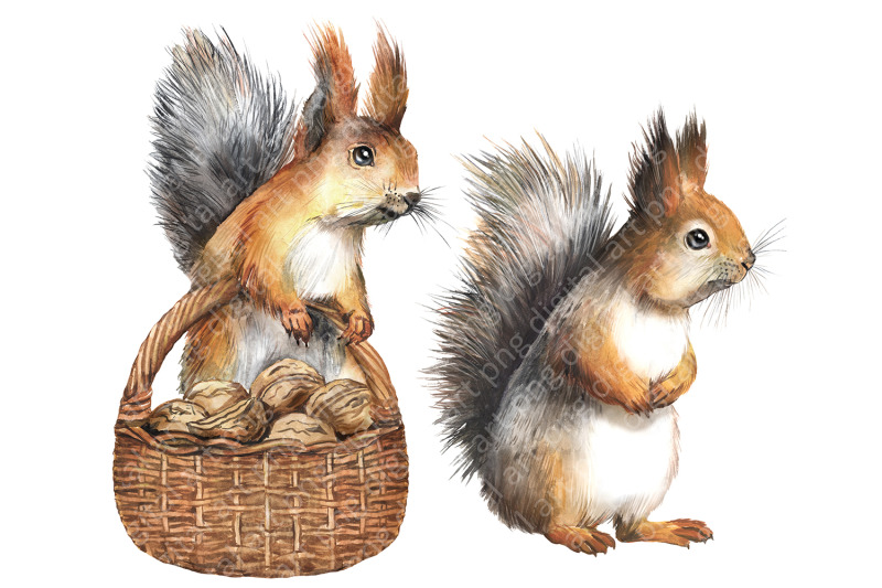 christmas-clipart-with-squirrels-new-year-cute-forest-animals