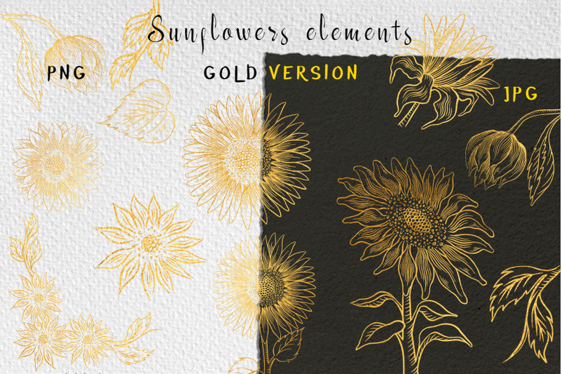 sunflower-clipart-collection