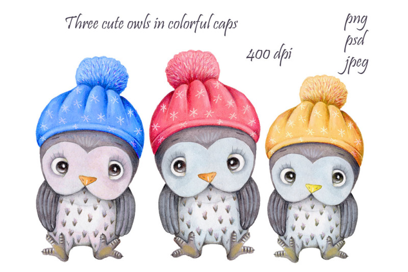 three-owls-in-colored-hats-watercolor-illustrations