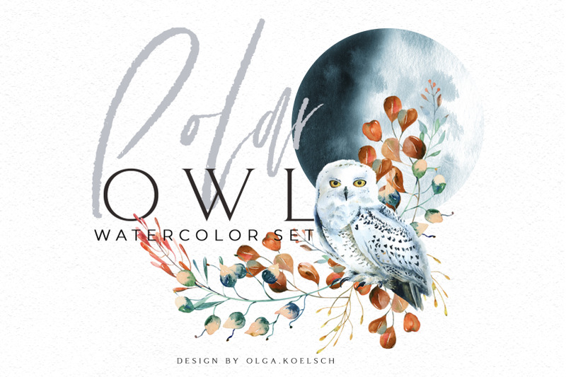 woodland-owl-clipart-watercolor-forest-bird-winter