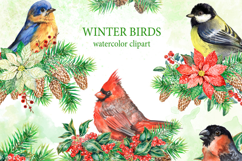 winter-birds-watercolor-clipart-christmas-cardinal-bird-bullfinch