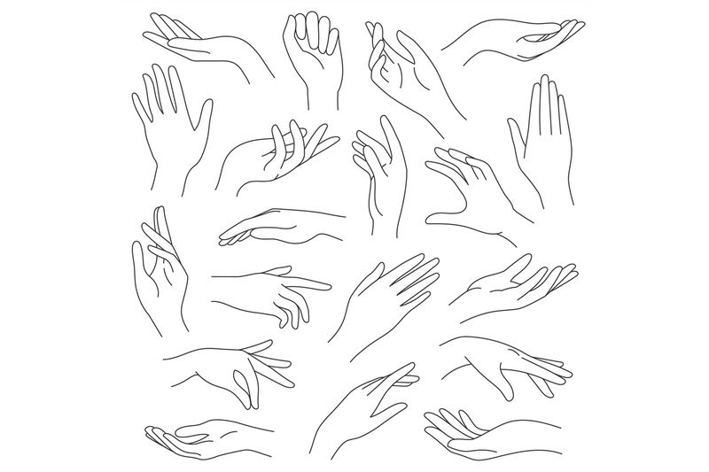 female-hands-line-outline-elegant-woman-hand-gestures-beautiful-palm