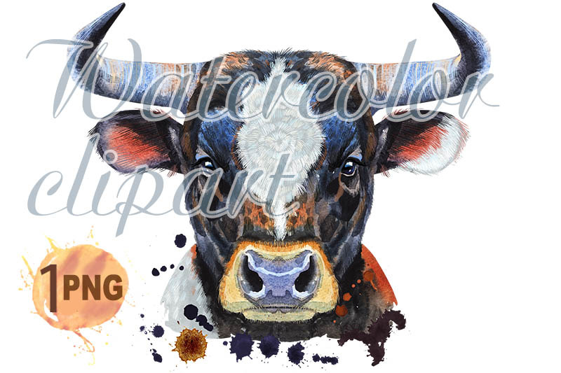 watercolor-illustration-of-black-bull-with-white-spot