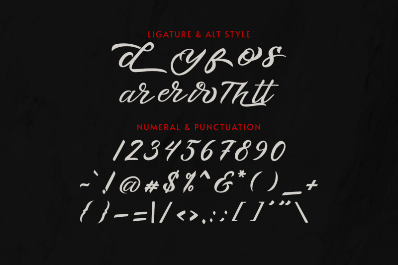 beyondy-handwritten-script-typeface