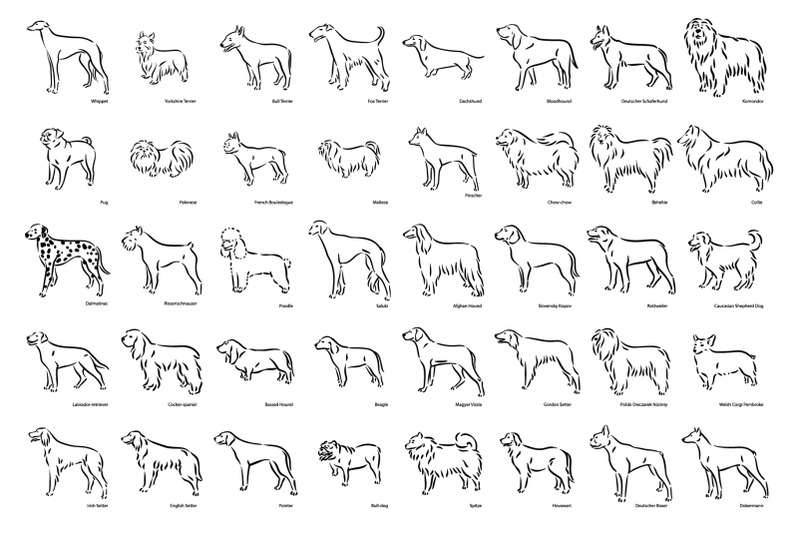 dog-breeds-silhouette-illustrations