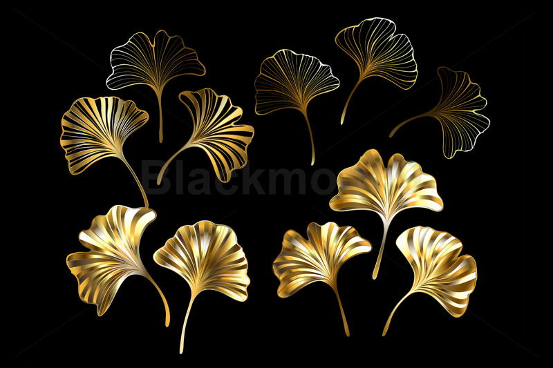 ginkgo-biloba-gold-leaves-set