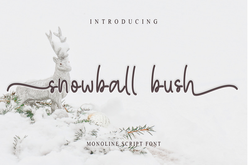 snowball-bush