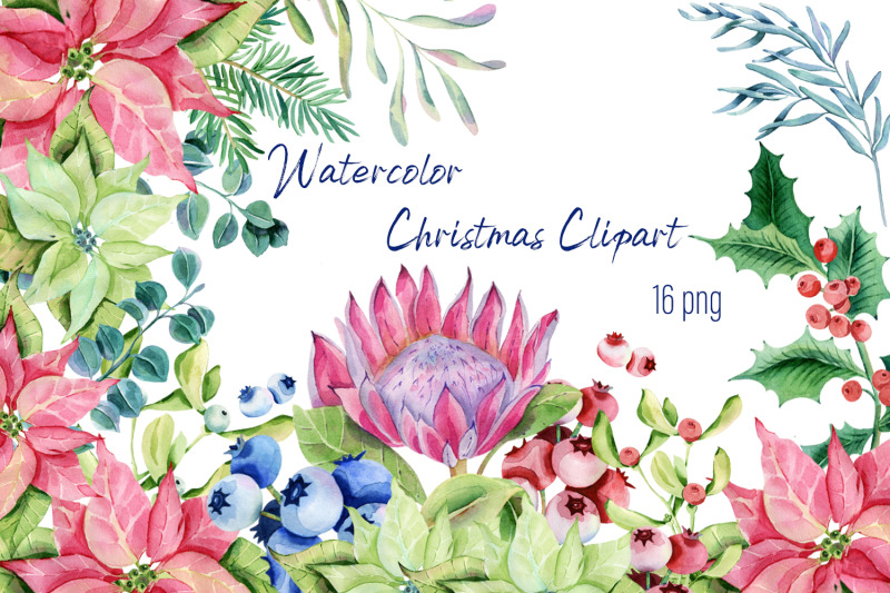 watercolor-christmas-clipart-christmas-plants