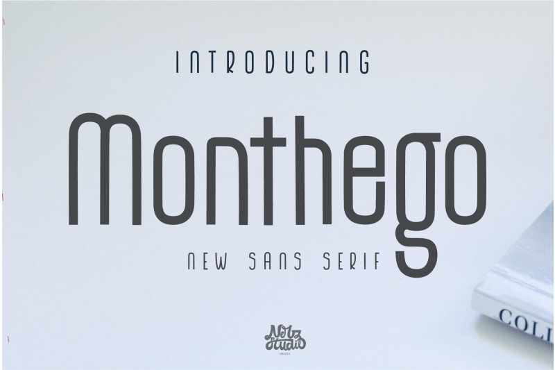 the-monthego-sans-serif