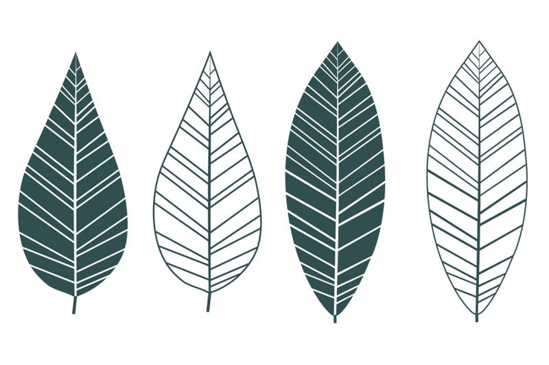 leaves-collection-leaves-vector-leaves-svg