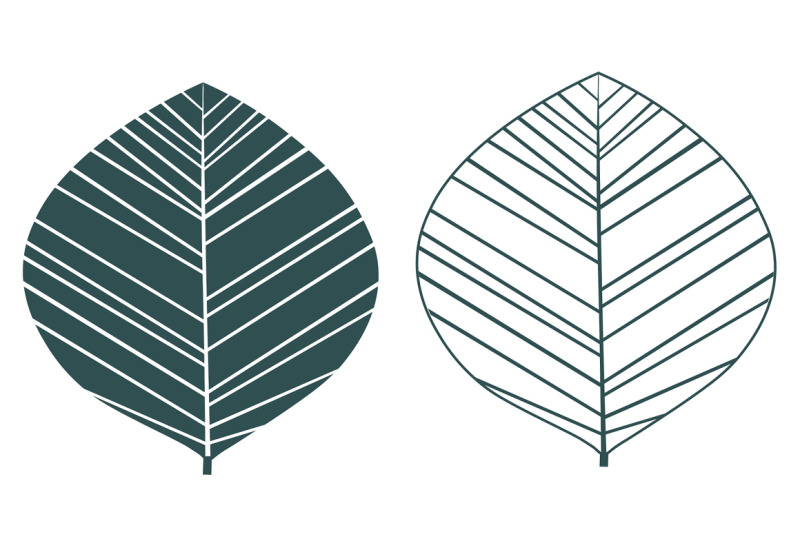 leaves-collection-leaves-vector-leaves-svg