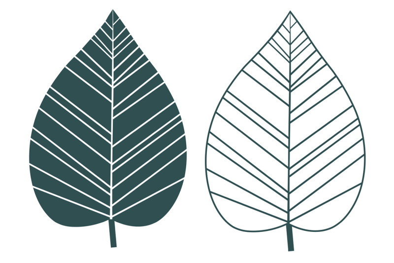 leaves-collection-leaves-vector-leaves-svg