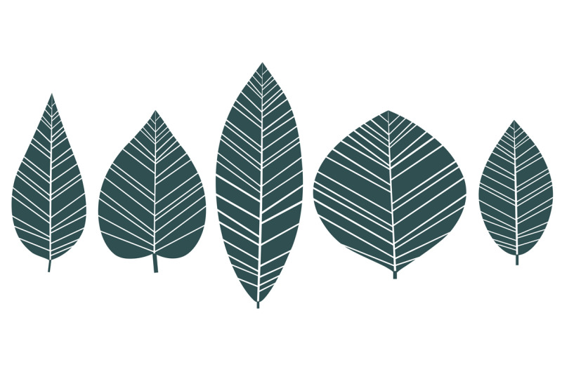 leaves-collection-leaves-vector-leaves-svg