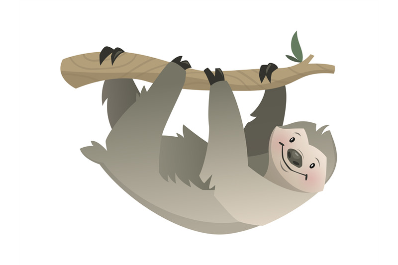 sloth-tropical-jungle-circus-or-zoo-animal-gray-bear-on-branch-hang