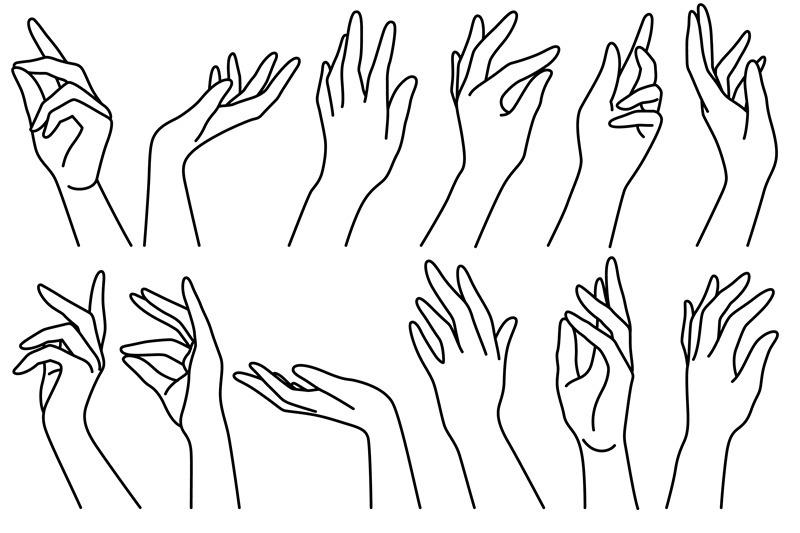Woman hands line. Outline drawn female different position elegant hand
