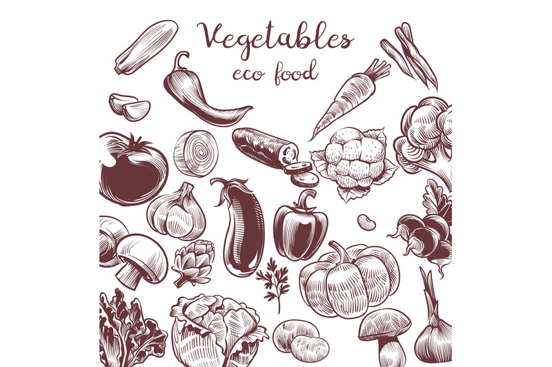 serve-vegetables-hand-drawn-vintage-engraving-illustration-for-poster