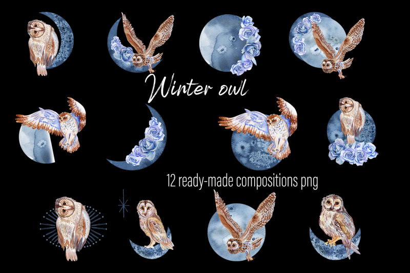 winter-birds-owl-watercolor-set