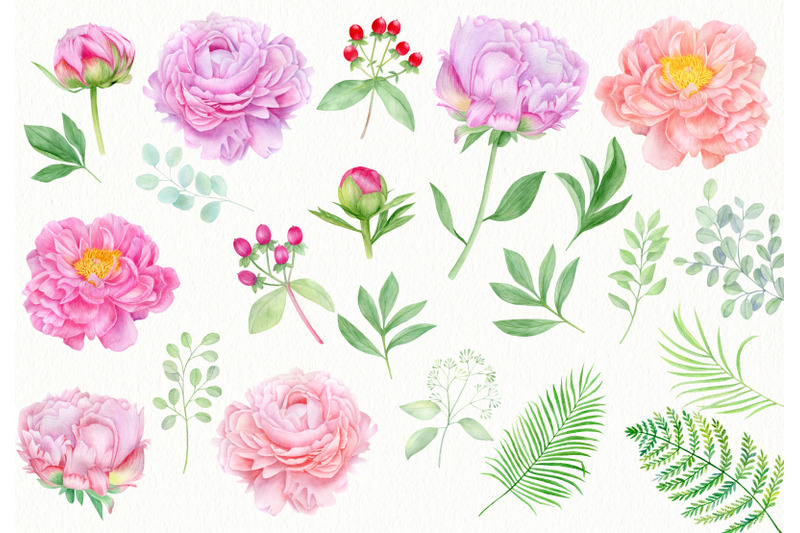pink-peony-watercolor-clipart-hand-painted-peonies-flowers