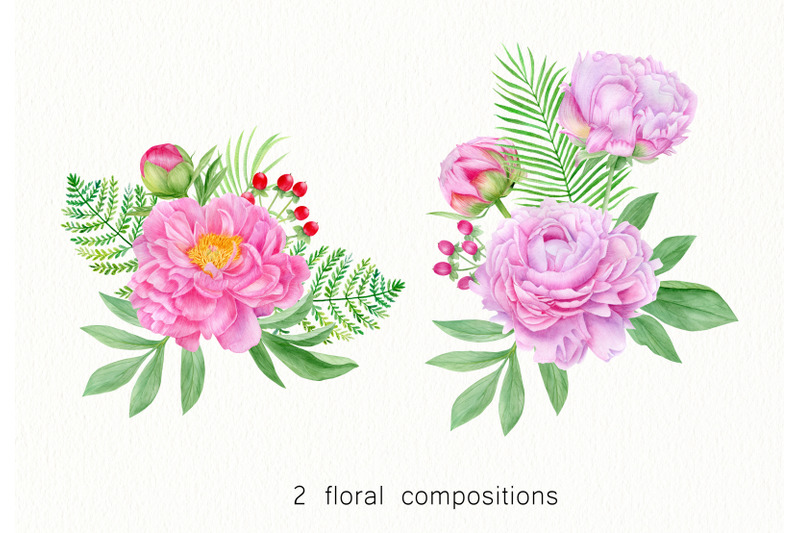 pink-peony-watercolor-clipart-hand-painted-peonies-flowers