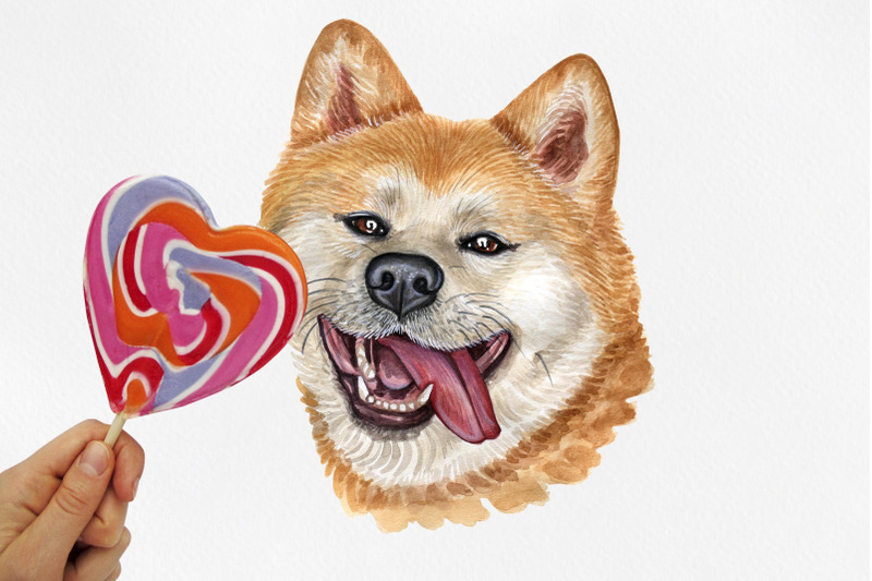 akita-watercolor-dog-illustrations-cute-6-dog