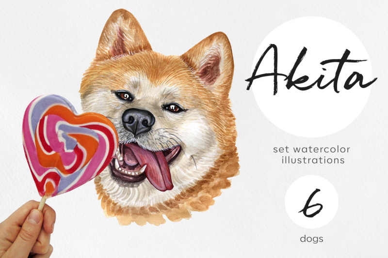akita-watercolor-dog-illustrations-cute-6-dog