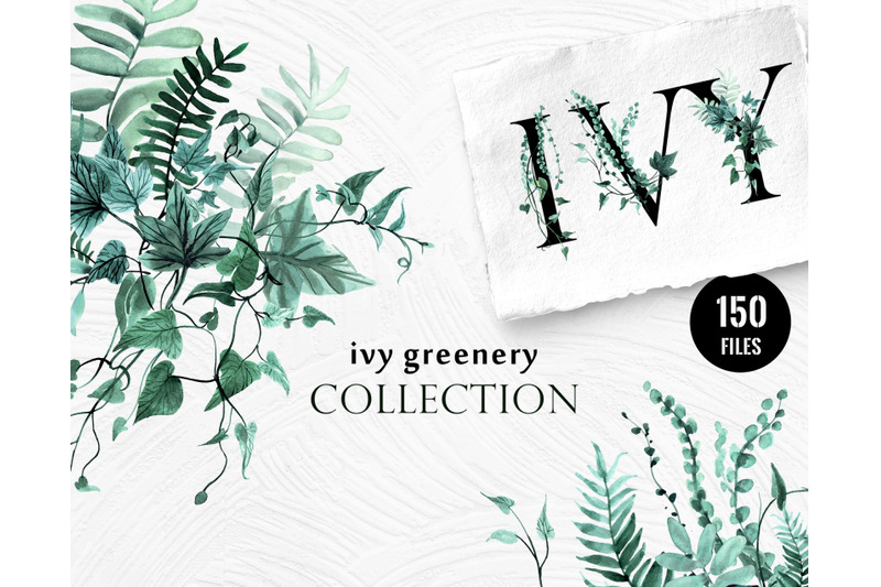 ivy-greenery-collection-watercolor-leaves