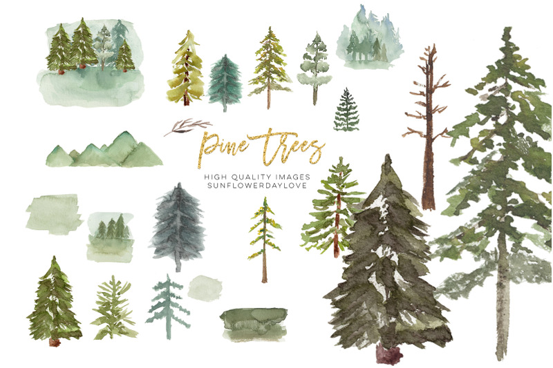 watercolor-pine-tree-clipart-fir-evergreen-tree-clipart