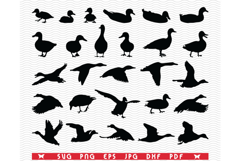 svg-ducks-duckling-black-silhouettes-digital-clipart