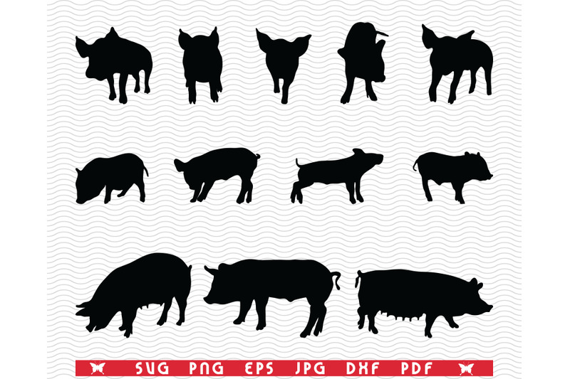 svg-pigs-piggy-sow-black-silhouettes-digital-clipart