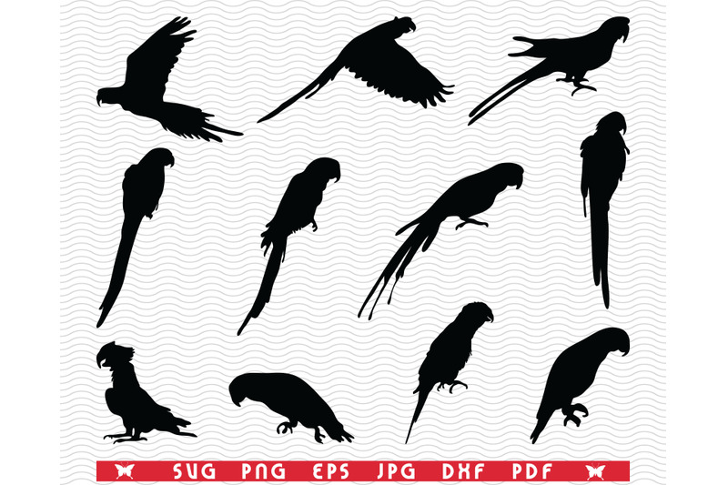 svg-parrots-ara-black-silhouettes-digital-clipart