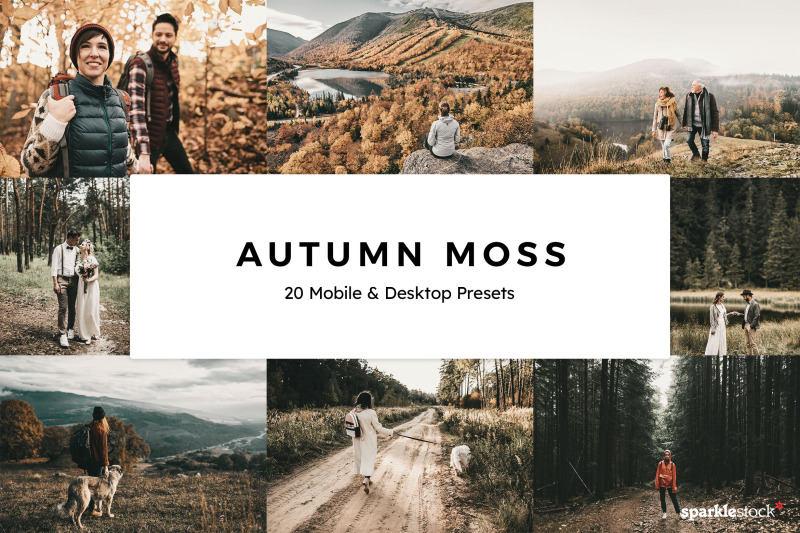 20-autumn-moss-lr-presets
